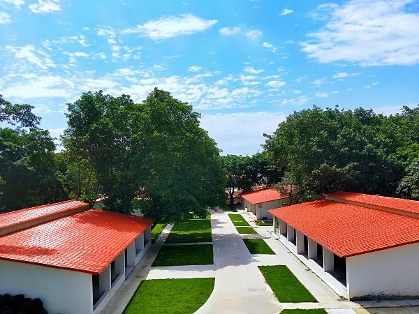 東莞塘廈鎮森林童話活動基地