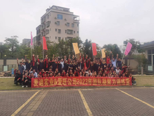 麥迪精創(chuàng)開年啟動(dòng)團(tuán)建